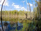 Рыбацкий каяк Jackson Kilroy Realtree