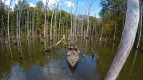 Рыбацкий каяк Jackson Kilroy Realtree