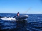 Надувная лодка Флагман 320 (пиксельный камуфляж)